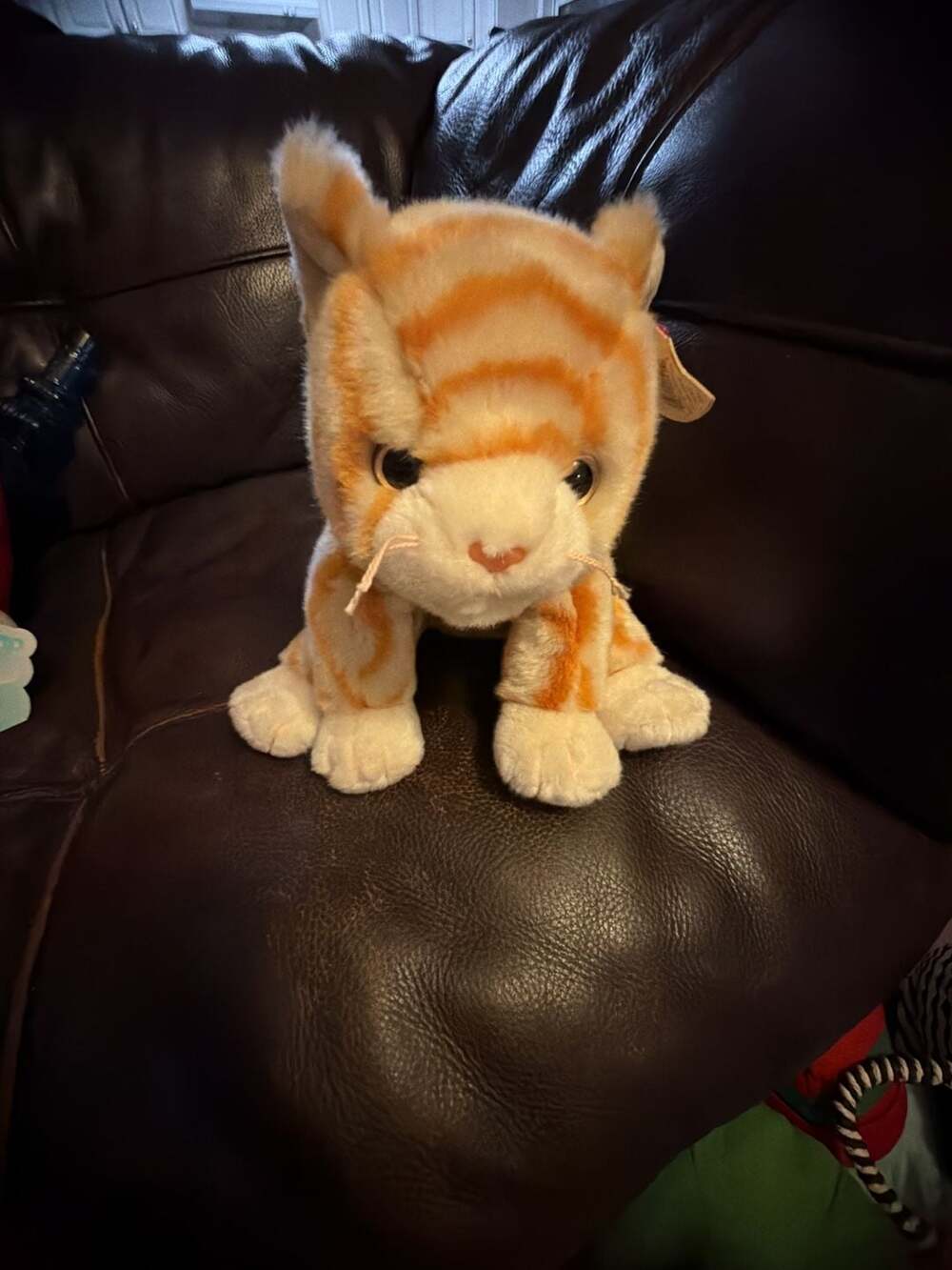 Ty Cat Amber 1999